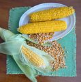 Corn-raw-boiled-and-dry.jpg