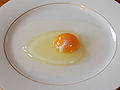 Chicken egg01 monovular.jpg