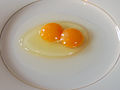 Chicken egg02 binovular.jpg